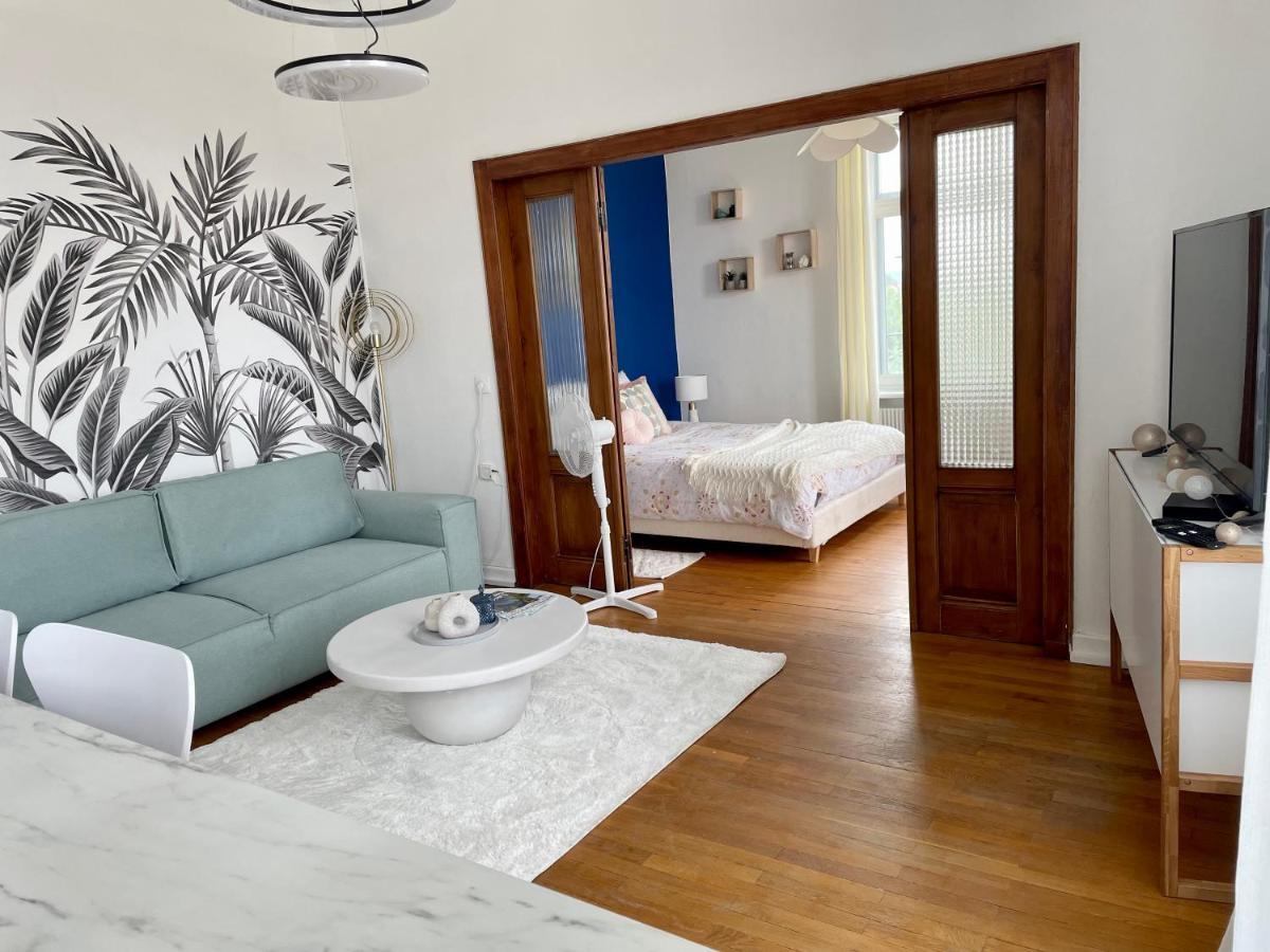 Апартаменты Nid Urbain Colmarien - 4 Personnes - Garage Экстерьер фото